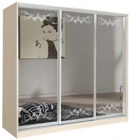 Шкаф-купе Оскар 4.2 (2,22х0,6х2,3 - 3 двери) в интернет магазине Планета Комфорта Фото shkaf-kupe-v-prikhozhuyu шкаф-купе оскар 4.2 (2,22х0,6х2,3 - 3 двери) производитель Мебель Маркет