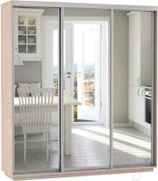 Шкаф-купе Экспресс Трио Экспенс (1,8х0,6х2,2 - 3 двери) в интернет магазине Планета Комфорта Фото shkaf-kupe-v-prikhozhuyu шкаф-купе экспресс трио экспенс (1,8х0,6х2,2 - 3 двери) производитель Мебельная компания Е1